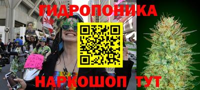 гидра Рыбинск