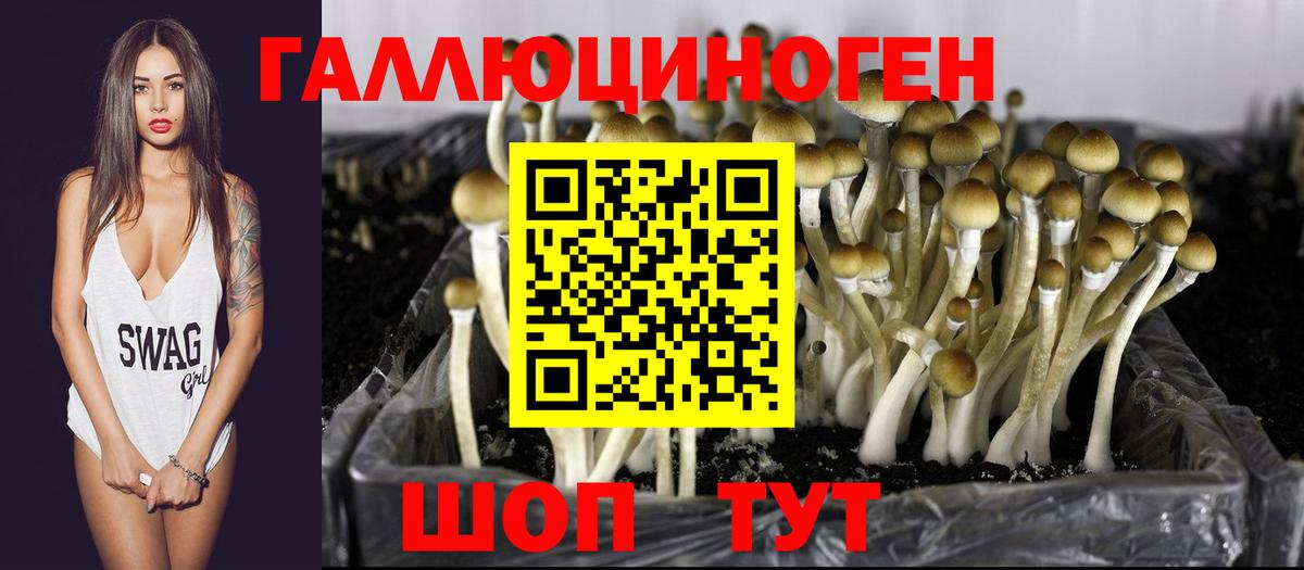 Псилоцибиновые грибы Magic Shrooms  что такое наркотик  Аргун  Вход с VPN 