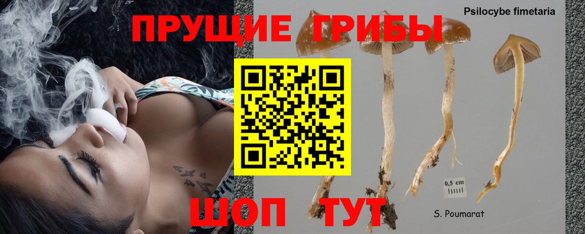 Псилоцибиновые грибы мухоморы Аргун